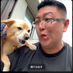 d5dddのアイコン