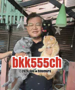 bkk555chのアイコン
