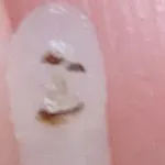 kyoujinzaizenのアイコン