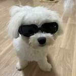 yokowakebaseのアイコン