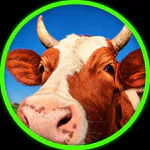 cowbull2のアイコン