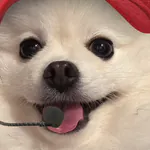 osicsuのアイコン
