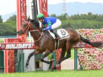 sasurai2525のアイコン