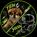 tenyasu55のアイコン