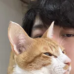 naosukipiのアイコン