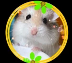 hamusuta-azのアイコン