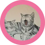 ameshokunのアイコン