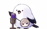chiruru-0723のアイコン