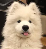 annytyqnのアイコン